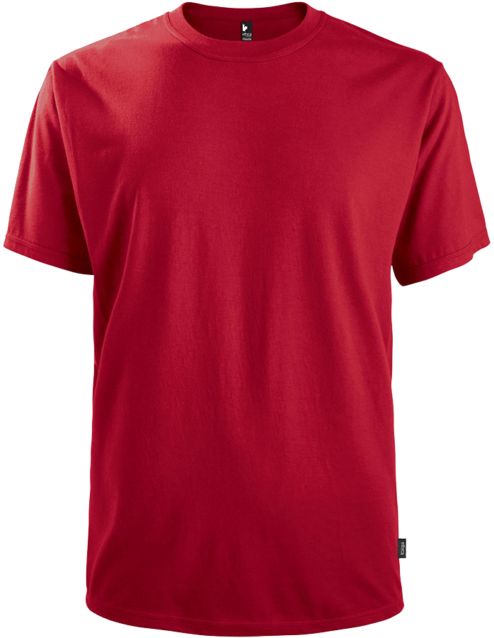 100386U T-shirt Ethica homme