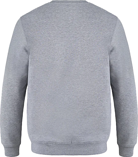 L00540 gris athlétique