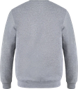 L00540 gris athlétique
