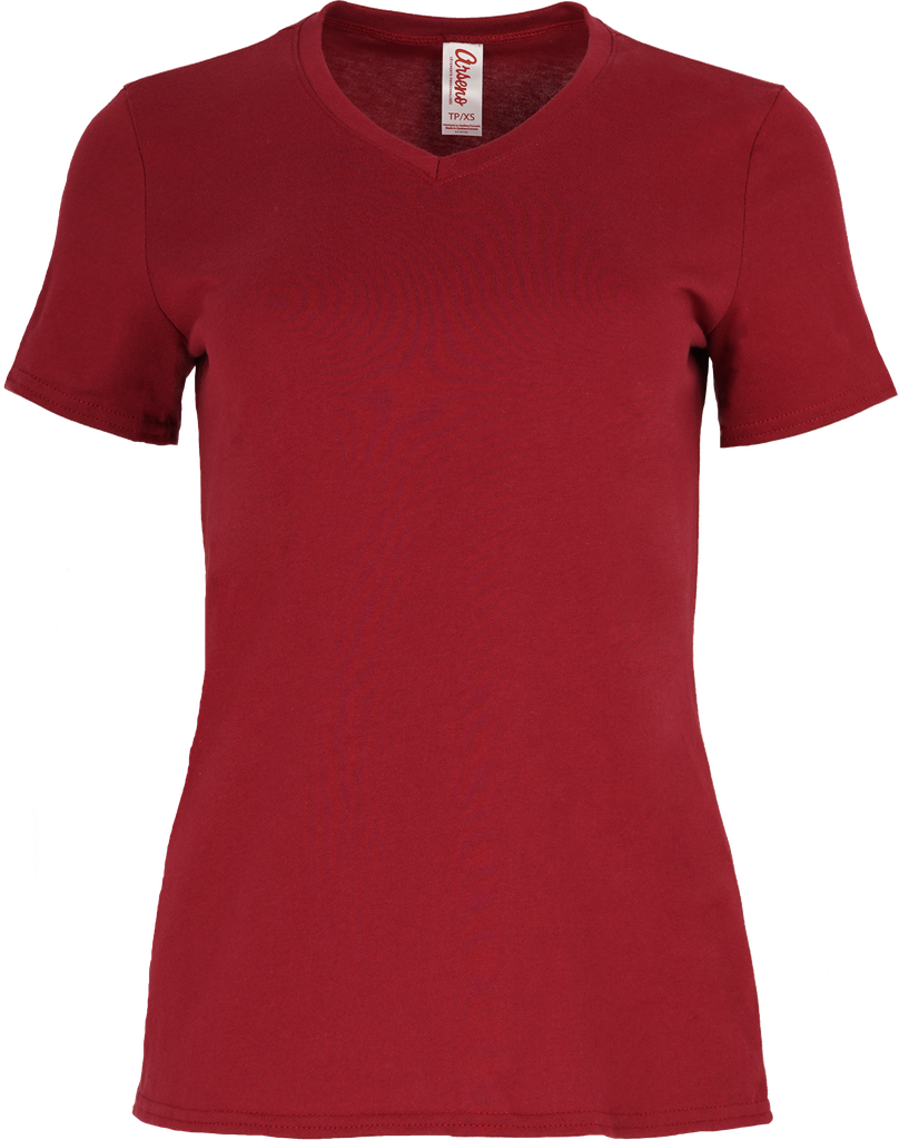 4319W Ladies V Neck T-shirt